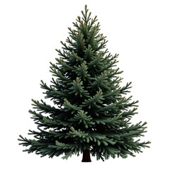 Fototapeta premium Christmas_Tree_PNG_Isolated_Pine_Fir_Tree