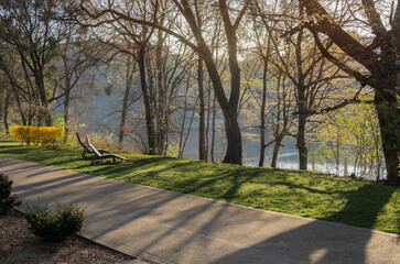 spring landscape with wooden sun loungers and walking path in the sunlight