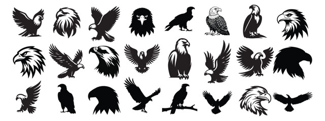 vector Bald Eagle set silhouette black in white background