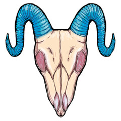 Goat ram skull Aries Hand drawn gothic illustration
