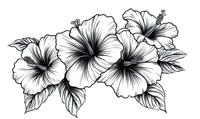 Vintage Hibiscus Flowers in Woodcut Engraving Minimalist Vector Art for Botanical Designs
