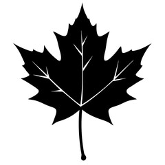 Fototapeta premium Maple Leaf Silhouette, Maple Leaf Icon, Autumn Leaves Vector Illustration – A Seasonal Symbol of Change, Nature's Beauty, Fall Foliage, Canadian Identity, and the Embrace of Transition and Letting Go.