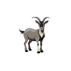 Cute goat mammal isolated on white