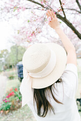 2025年シンボルプロムナード公園の桜を撮る女性