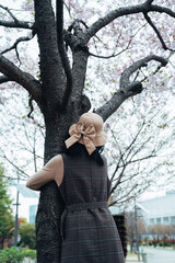 2025年シンボルプロムナード公園の桜を撮る女性
