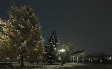 Novokuznetsk, Russia. November 01, 2024. Trees near the colonnade of the Yuri Gagarin City Park,...