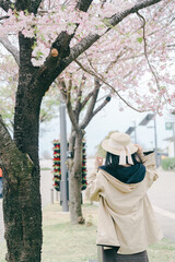 2025年シンボルプロムナード公園の桜を撮る女性