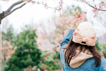 2025年シンボルプロムナード公園の桜を撮る女性