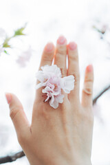 2025年シンボルプロムナード公園の桜を撮る女性