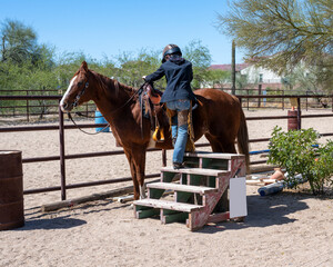 A woman climbing on her quarter horse