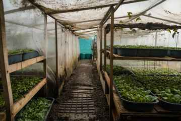 Fototapeta premium greenhouse-style indoor snail farm with ventilation and water systems. 