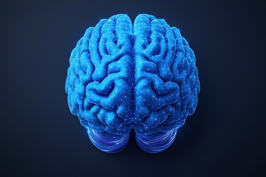 Exploring Neural Networks Understanding the Human Brain's Structure Digital Art Abstract Environment Top-Down View AI Concept