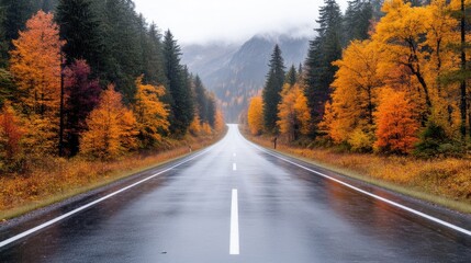 Fototapeta premium A wet asphalt road stretches into a misty mountain valley. Autumn trees in vibrant oranges and yellows line the road. The image has high resolution and natural lighting. Its style is scenic and sere