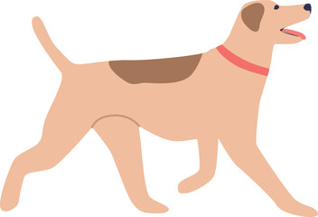 Happy cute dog domestic pet