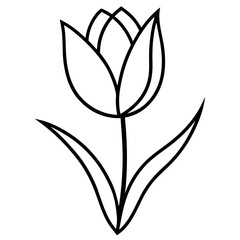 vector illustration of a leaf