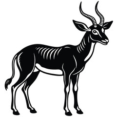 Adobe Illustrator AAnimal horns silhouettes, antelope, ram, goat, buffalo horn. Deer antlers, hunting trophy, wild animals horn and antler silhouette vector set. Curled big and small horns of dirtwork