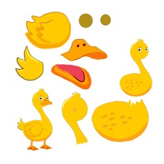 Duck Animation Character with body part for making animation cartoon character