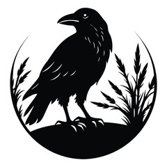 Obraz premium raven silhouette