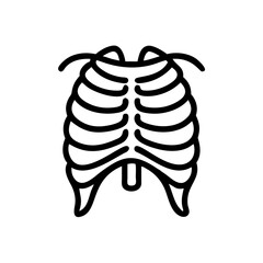 ribs