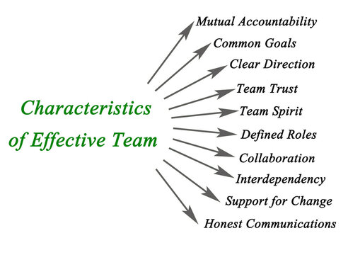 Ten Characteristics of Effective Team