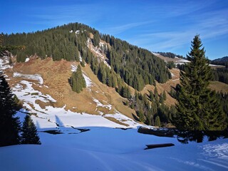 snow covered mountains