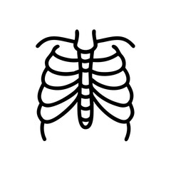 ribs
