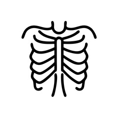 ribs