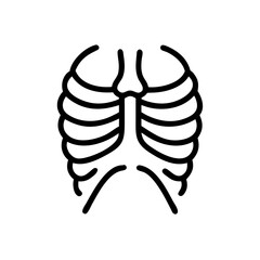 ribs