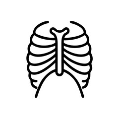 ribs