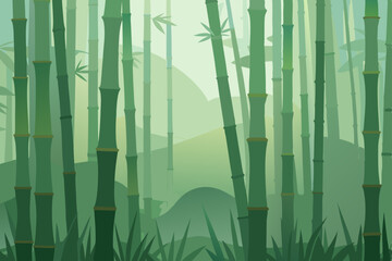 bamboo forest in the morning
