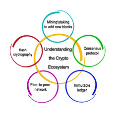 Five elemants of Crypto Ecosystem