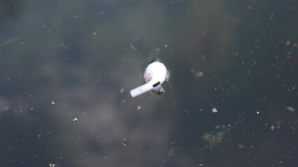 A wireless earbud floats on the surface of murky water, surrounded by debris. The scene evokes mystery and raises questions about lost items and unseen moments near the pond.