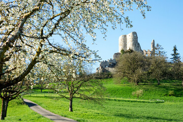 Schweiz, Baselland, Birseck, Pfeffingen, Baselbiet, Baselland-Tourismus, Ruine Pfeffingen, Fr&uuml;hling, Kirschbl&uuml;ten, April, Aesch, Aesch-Pfeffingen