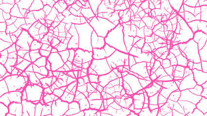 Cracked pink texture on a white background. Detailed abstract surface pattern.