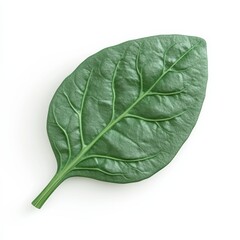 Obraz premium Detailed 3D Render of Cute Spinach Leaf with Exaggerated Veins
