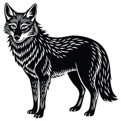 Cunning coyote lurks a prey, hen vector silhouette illustration isolated on white. Smart animal predator. Jackal hunting hen chicken behind back. Farm chantry poultry in danger. Scary domestic bird.