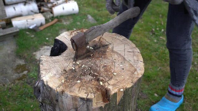 Cutting branches with an axe. A girl cuts a branch with an axe