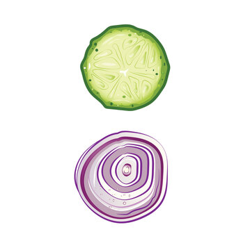 Salad Vector design Fresh salad , cucumber, carrot. onion, green cucumber with onion.  