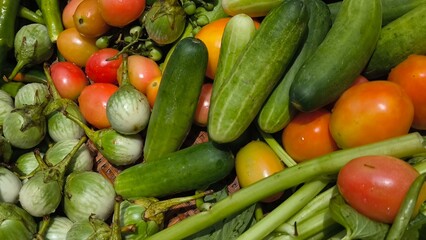 Fresh vegetables for cooking. Vegetables contain dietary fiber that helps cleanse the intestines.
