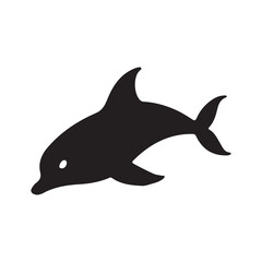 dolphin isolated on white