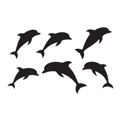 dolphin vector illustration
