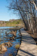 A narrow wooden boardwalk winds along the lakeshore through leafless birch trees, leading to a quiet bench with a view of the calm water and forest beyond.
