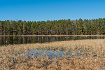 A narrow wooden boardwalk winds along the lakeshore through leafless birch trees, leading to a quiet bench with a view of the calm water and forest beyond.