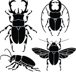 Beetle Vector Silhouette | Creepy Crawly Bug and Wildlife Design