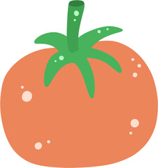 Tomato, Fresh Tomato, Vector, Vegetable