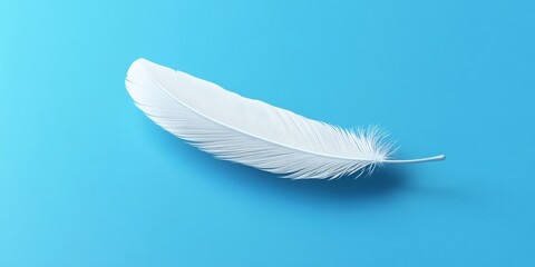 Obraz premium Single 3D White Feather Positioned Diagonally on Blue Background
