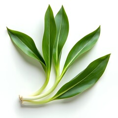 Fototapeta premium Elegant display of fresh green leaves, a symbol of organic vitality and growth