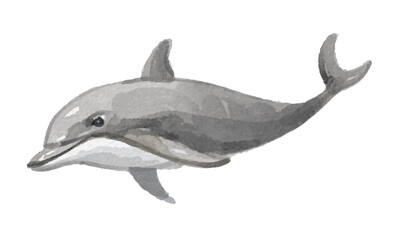 Watercolor dolphin for logo, invitations and more