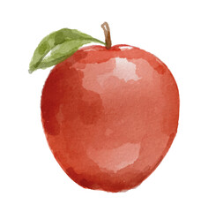 Hand painted watercolor apple fruit