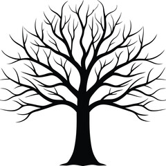 Obraz premium Winter Tree Silhouette